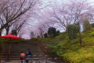 DSCF0065-2.jpg