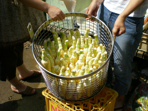 DSCN04802.jpg