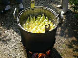 DSCN0484.jpg